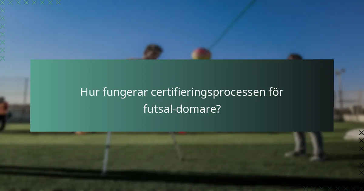 Hur fungerar certifieringsprocessen för futsal-domare?