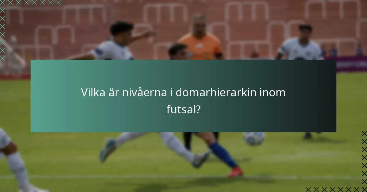 Vilka är nivåerna i domarhierarkin inom futsal?