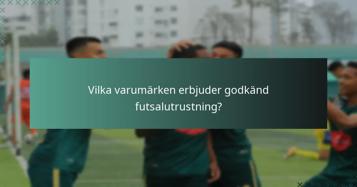Vilka varumärken erbjuder godkänd futsalutrustning?